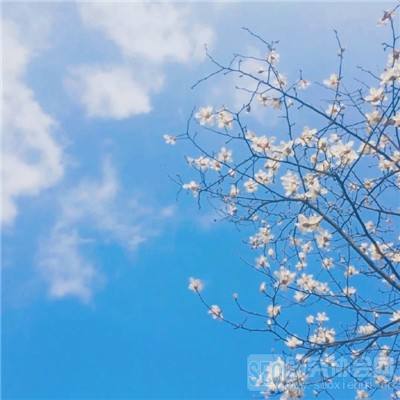 广泛深入地察民情听民声汇民智