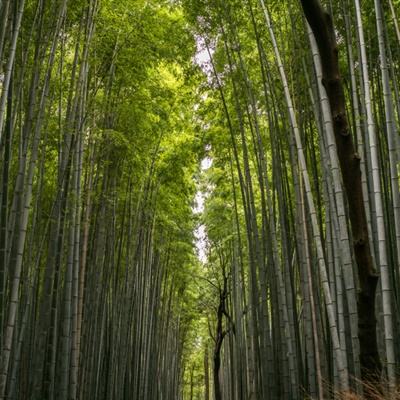 封神高爆版游戏手机版下载